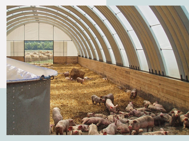 Строительство свинарников в Зеленокумске