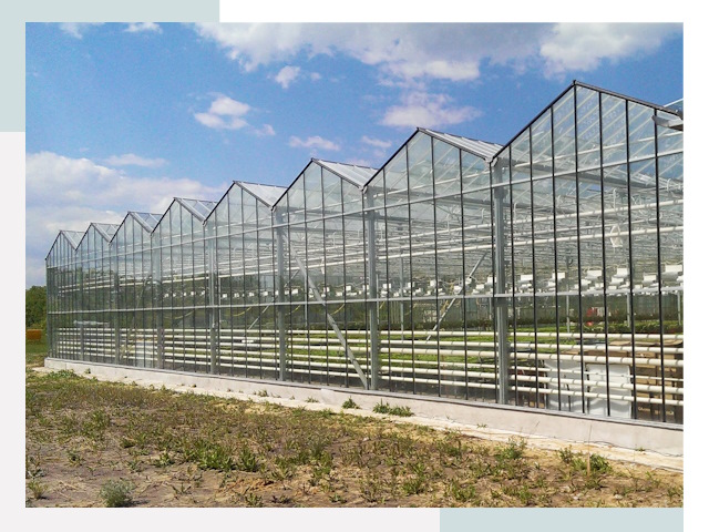 Строительство теплиц в Зеленокумск от 611 руб. за м²